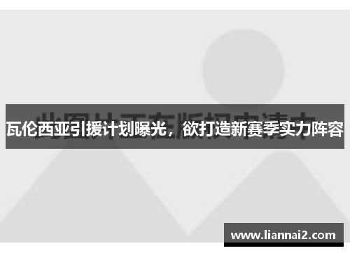 瓦伦西亚引援计划曝光，欲打造新赛季实力阵容